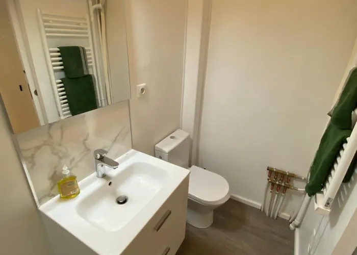 Rue Pietonne Ajaccio (Corsica)